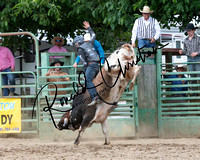 Calf Riding