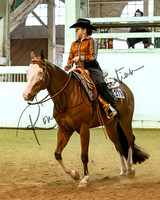 Horse Shows