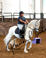 Working Equitation Schooling Show July 10-11