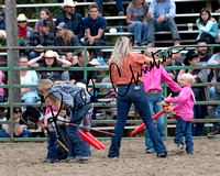 Stick Horse