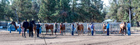 ROC_1428-Pano