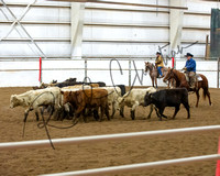 cutting, roping, pattern