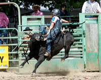 Bull Riding