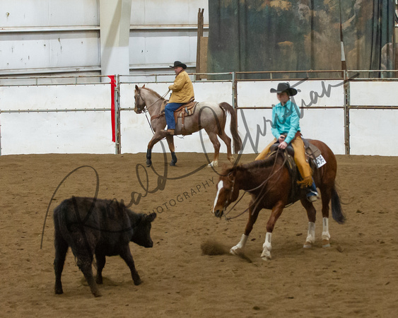 DSC_3648-2-2