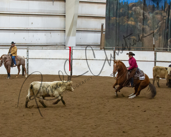 DSC_3632-2-2